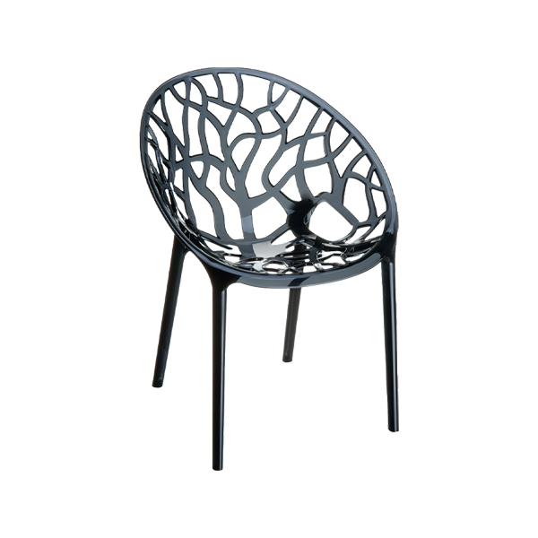 Crystal Black Transparent Dining Chair